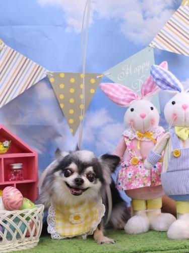 20240317クオンくん